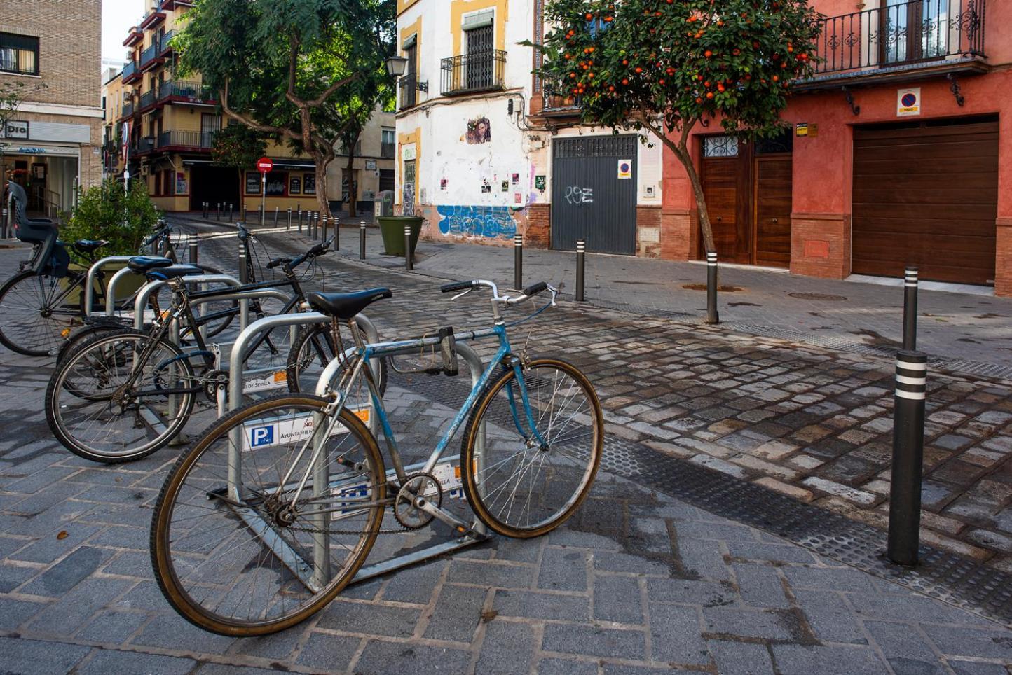 Alohamundi Montesion * Seville